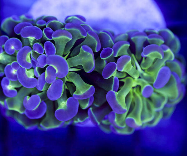 import placeholder for 2991263