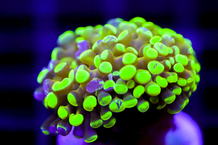 import placeholder for 2991253