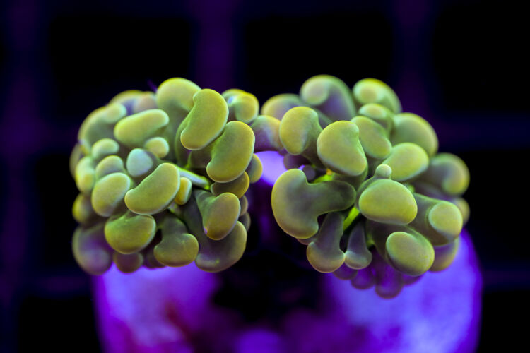 import placeholder for 2991235