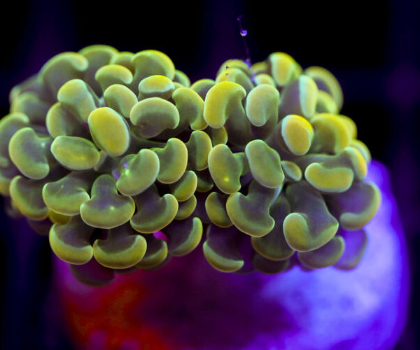 import placeholder for 2991233