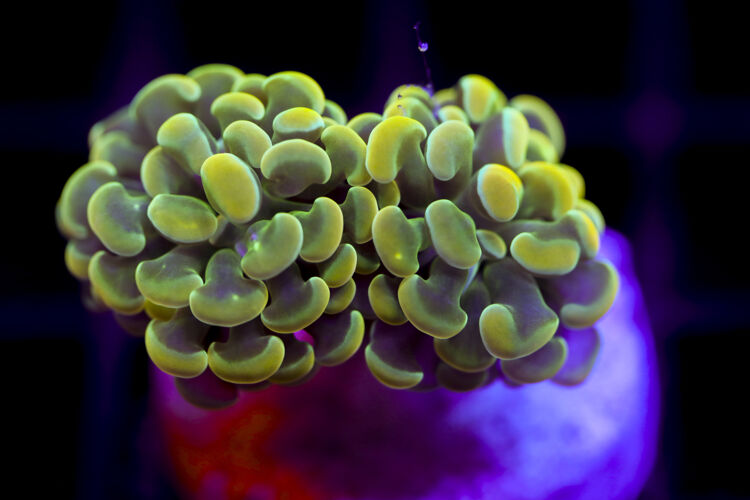 import placeholder for 2991233