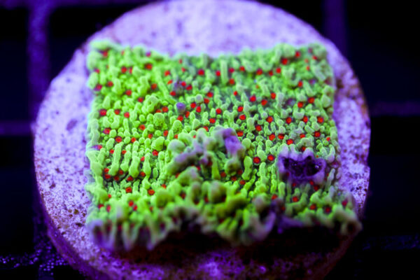 import placeholder for 2991222