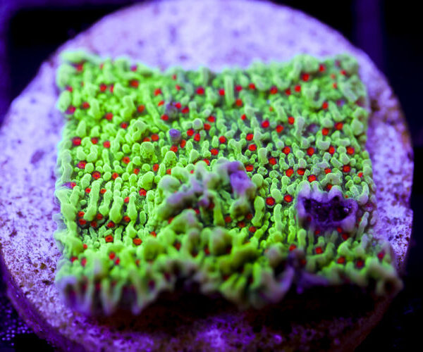 import placeholder for 2991222