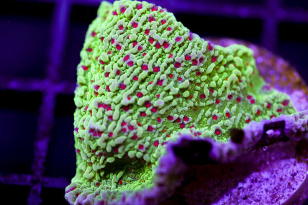 import placeholder for 2991220