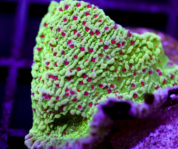 import placeholder for 2991220