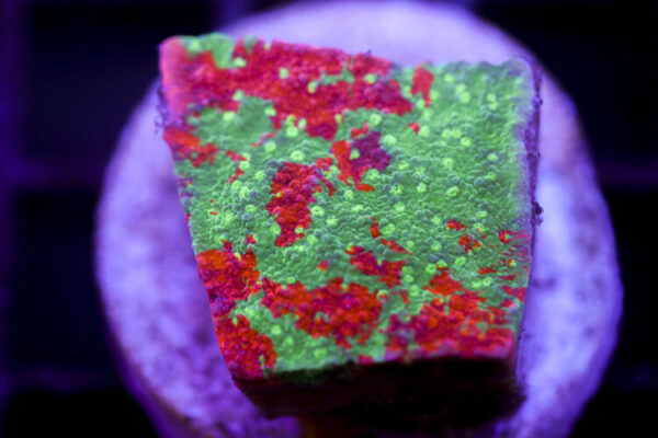 import placeholder for 2991212