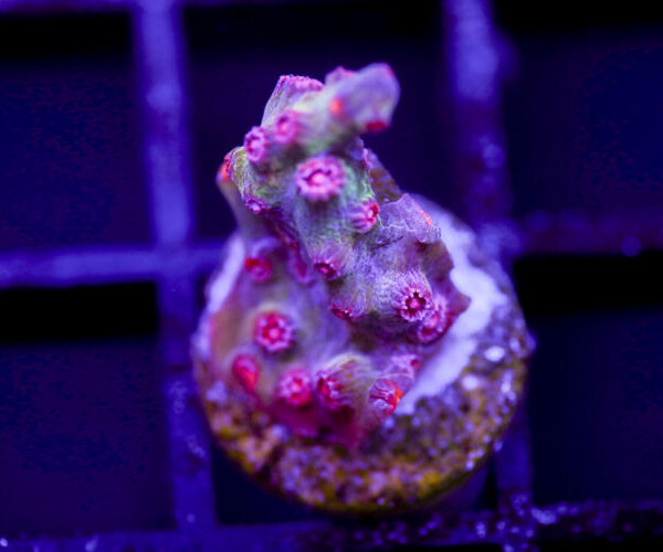 import placeholder for 2991180