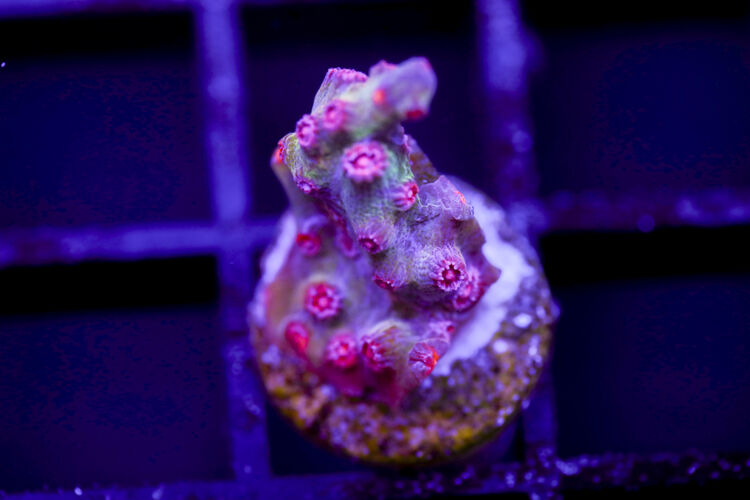 import placeholder for 2991180