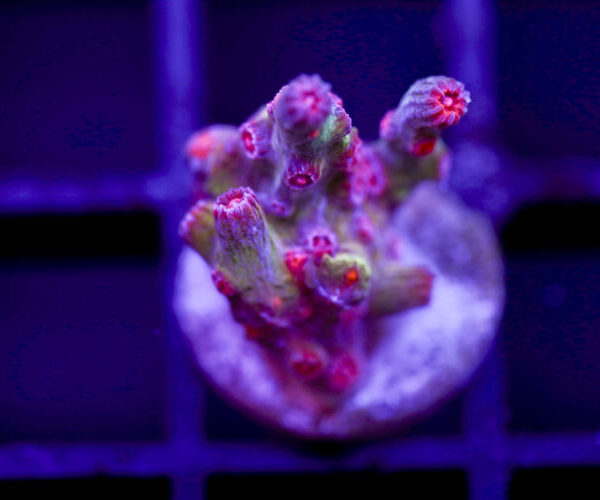 import placeholder for 2991178