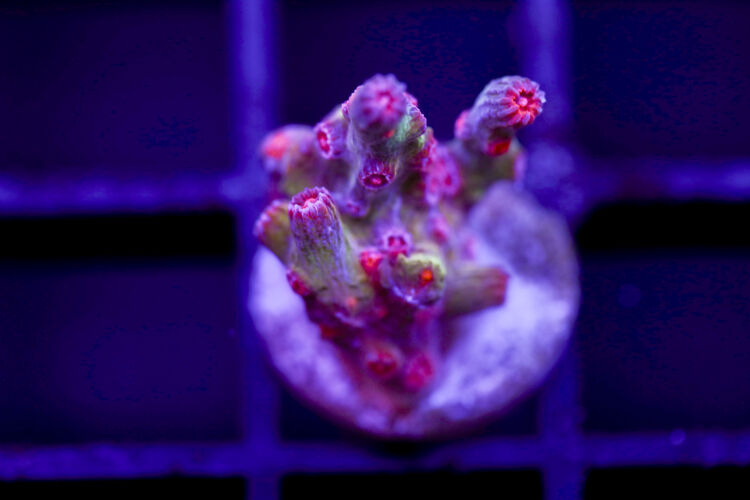 import placeholder for 2991178