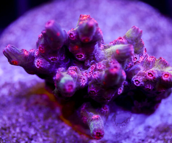 import placeholder for 2991170