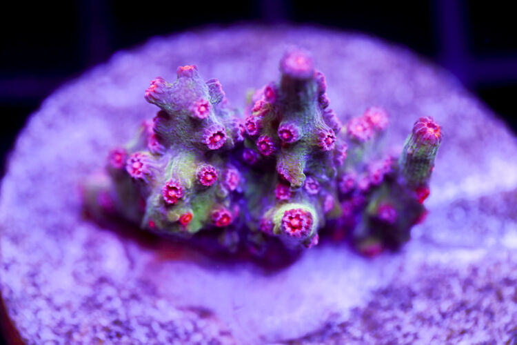 import placeholder for 2991169