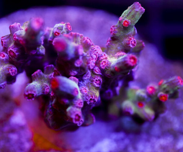 import placeholder for 2991168