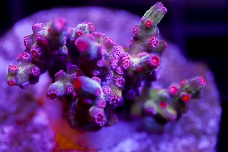 import placeholder for 2991168