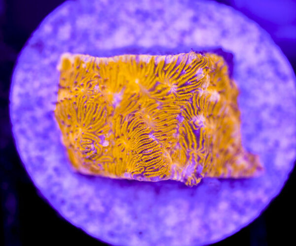 import placeholder for 2991165