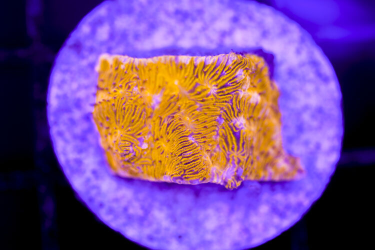 import placeholder for 2991165