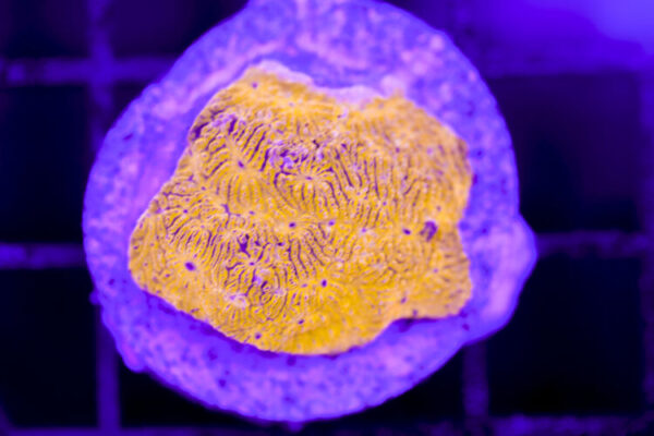 import placeholder for 2991163