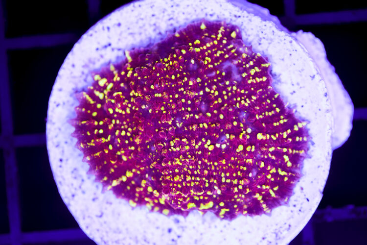 import placeholder for 2991146