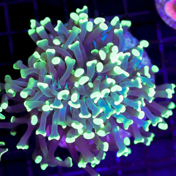 import placeholder for 2989606