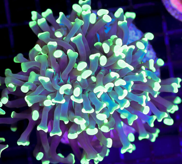 import placeholder for 2989606