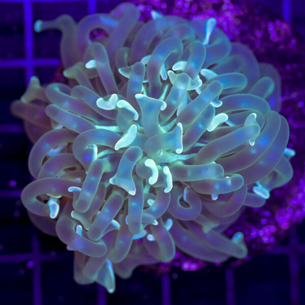 import placeholder for 2989602