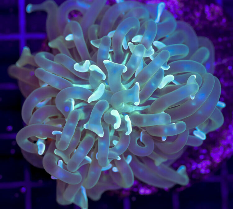 import placeholder for 2989602