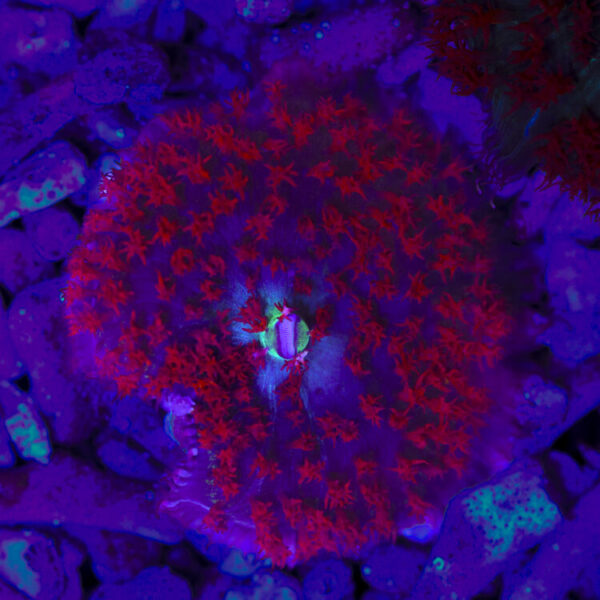 import placeholder for 2989582