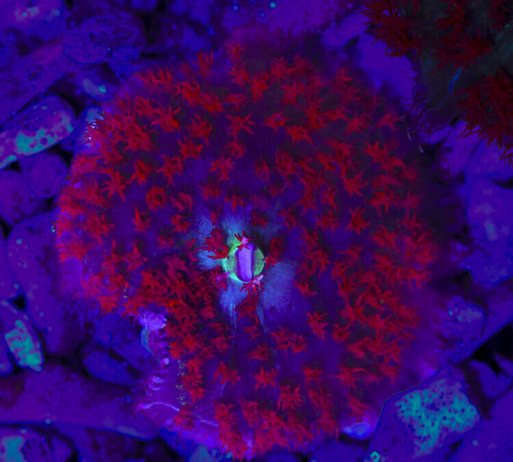 import placeholder for 2989582