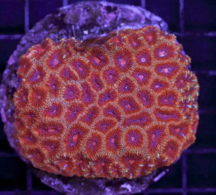 import placeholder for 2989569