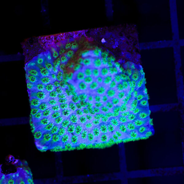 import placeholder for 2989564