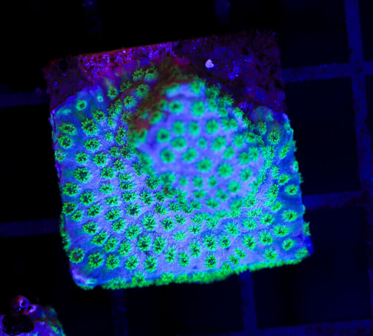 import placeholder for 2989564