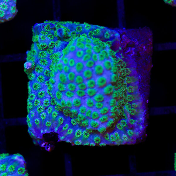 import placeholder for 2989563