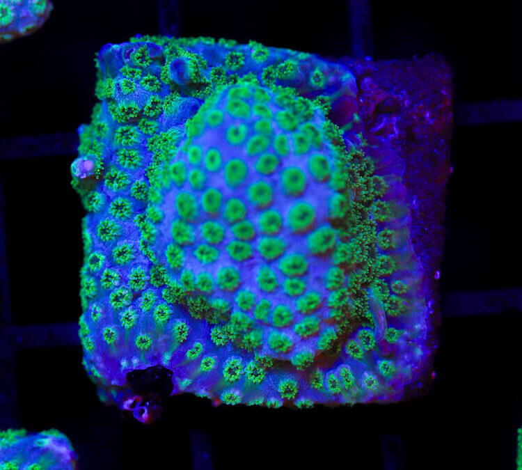 import placeholder for 2989563