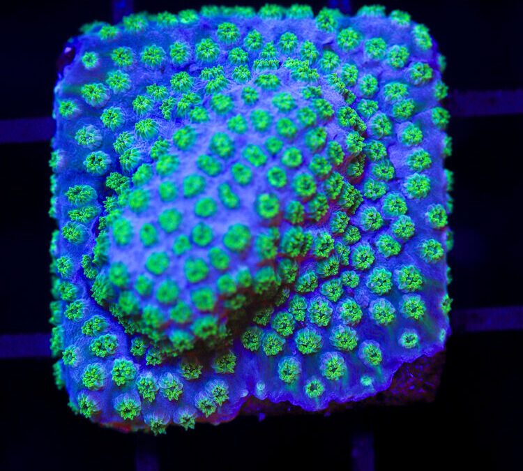 import placeholder for 2989562