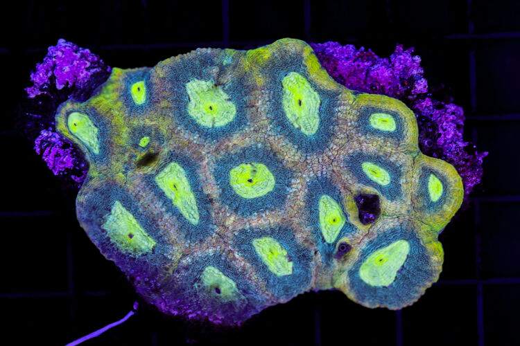 import placeholder for 2981675