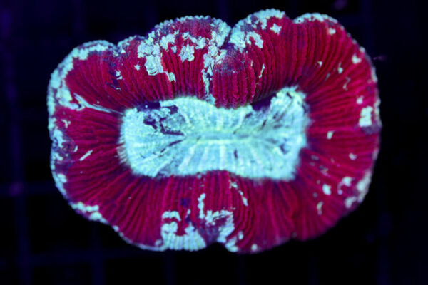 import placeholder for 2968549