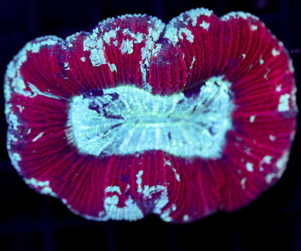 import placeholder for 2968549