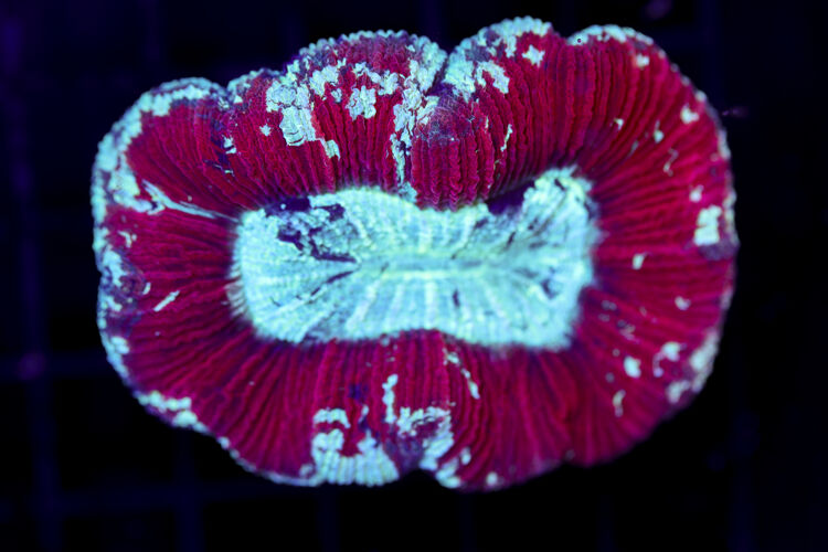 import placeholder for 2968549