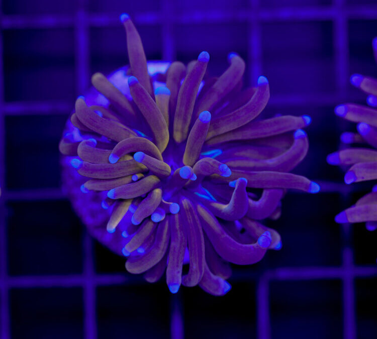 import placeholder for 2966050