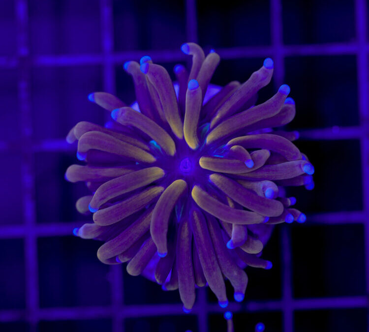 import placeholder for 2966049