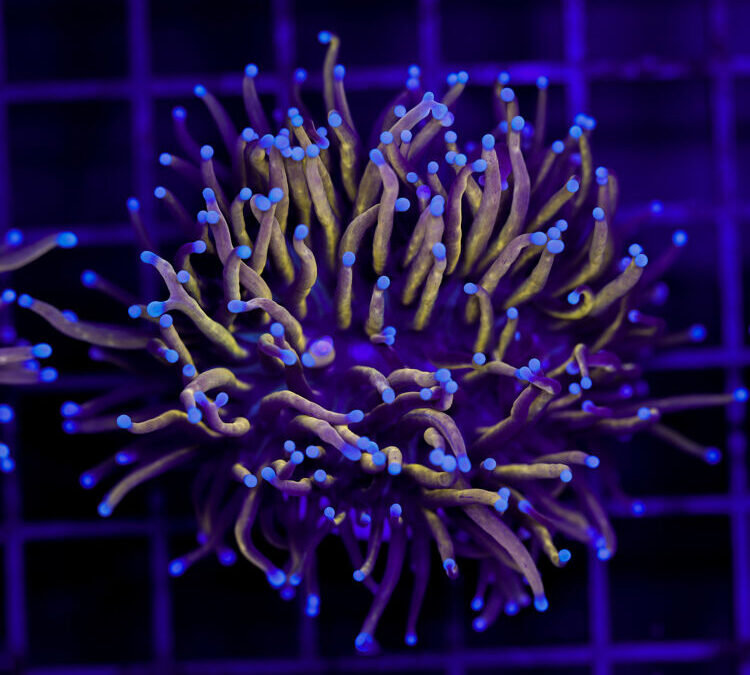 import placeholder for 2966048