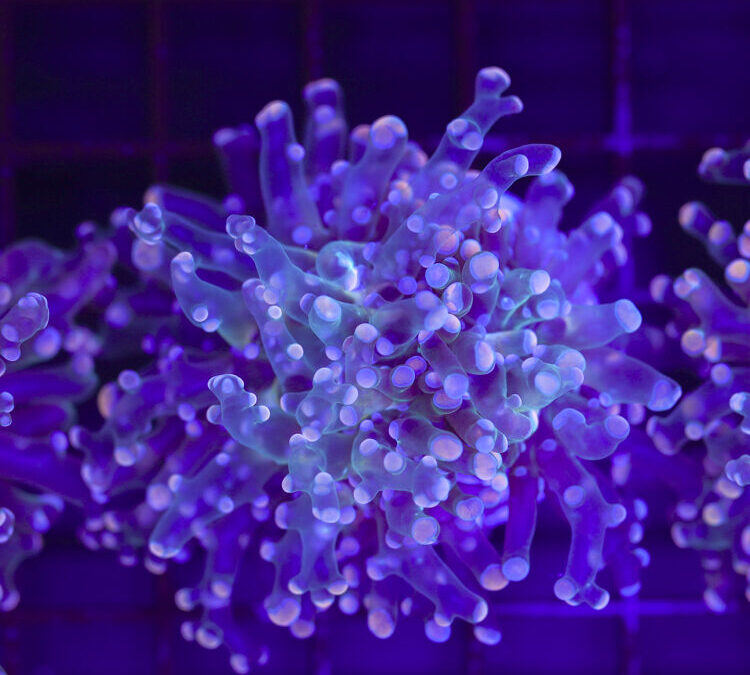 import placeholder for 2965340