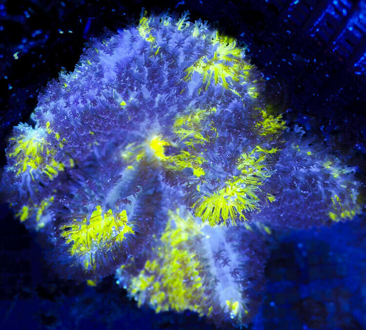 import placeholder for 2964893