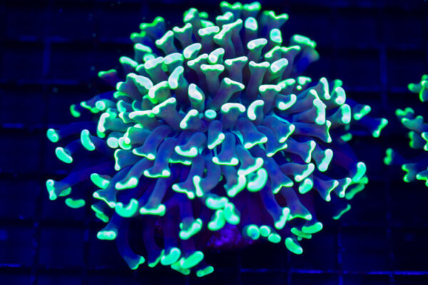 import placeholder for 2964607