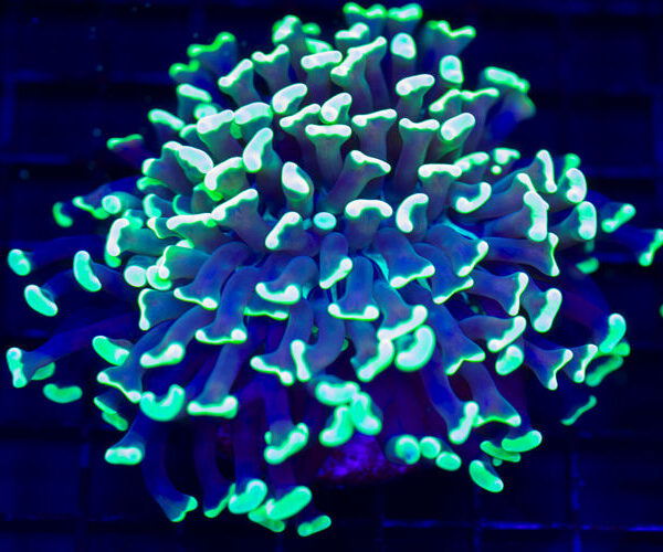 import placeholder for 2964607