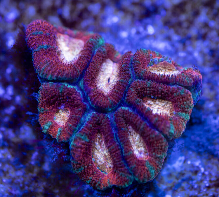 import placeholder for 2963859