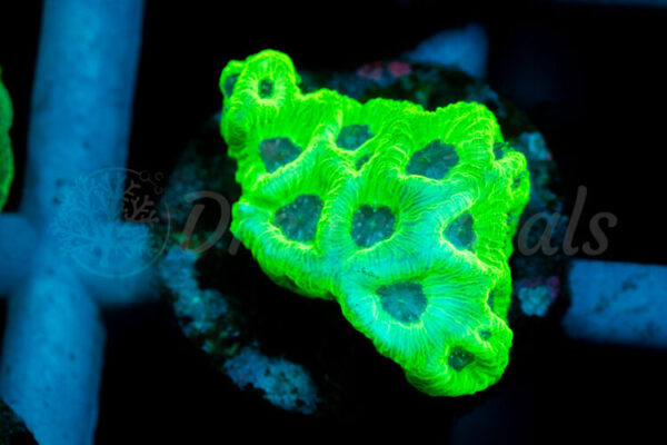 import placeholder for 2936340