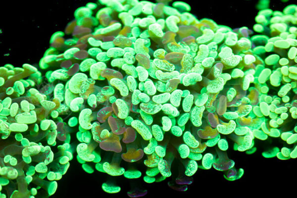 import placeholder for 2936054