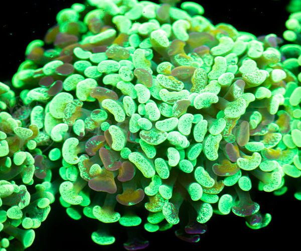 import placeholder for 2936054